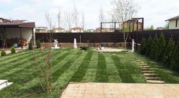 Cool Garden Concept - Amenajare, intretinere spatii verzi