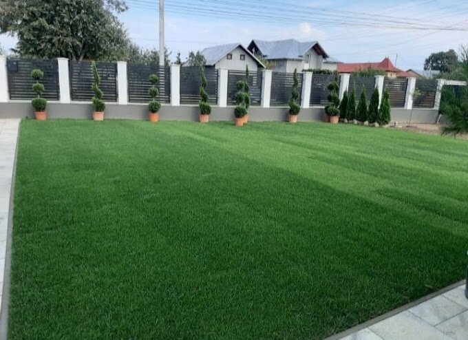Cool Garden Concept - Amenajare, intretinere spatii verzi