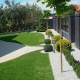 Cool Garden Concept - Amenajare, intretinere spatii verzi